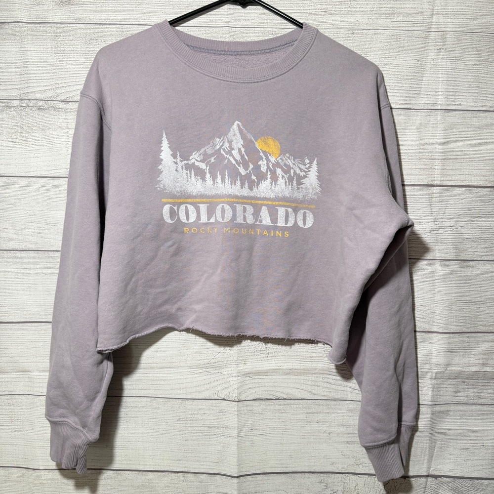 Hollister Lavender Graphic Crop Sweatshirt